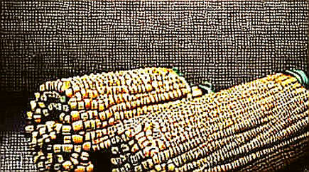 The Silence of the Lambs: What an Empty On-Chain Analysis Tells Us About Crypto's Trust Deficit