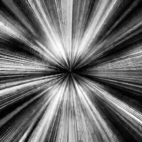 The On-Chain Siege: Decoding the Whale Cluster Positioning Ahead of the ARB Grant Vote The On-Chain Siege: Decoding the Whale Cluster Positioning Ahead of the ARB Grant Vote