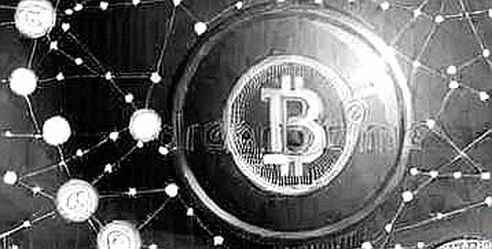 The Signal in the Silence: How a State Department Warning Exposes Crypto's Macro Blind Spot