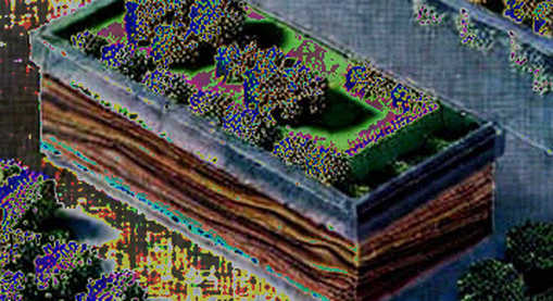 Render Network (RNDR) Crashes 45%: The AI Narrative Premium Has Expired