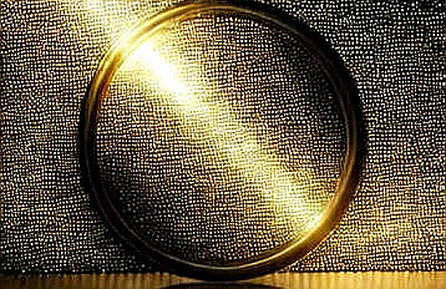 The Gravity of Trust: Shiba Inu's Liquidity Mirror and the Question of Value The Gravity of Trust: Shiba Inu's Liquidity Mirror and the Question of Value